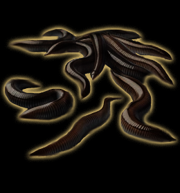 $LIENCHES mascot leech